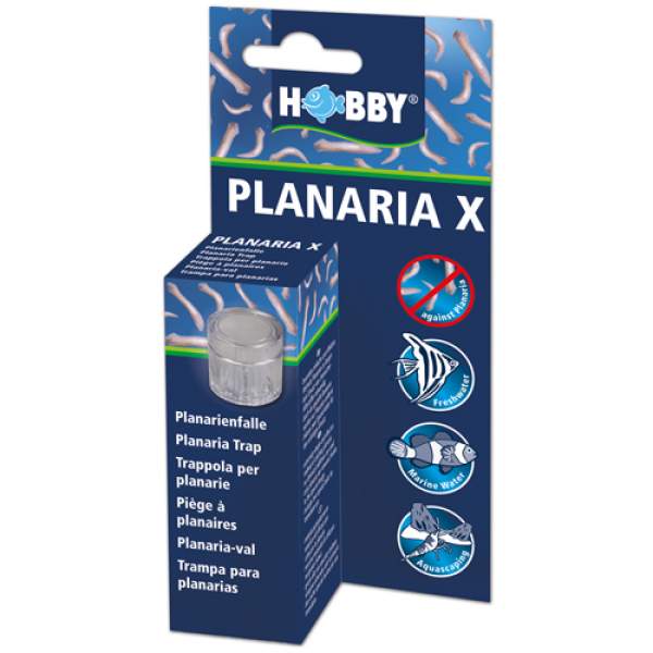 Planaria X Planarienfalle
